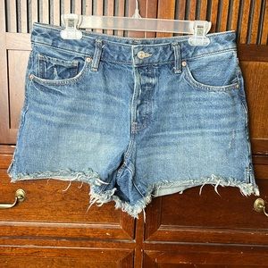 Express Boyfriend Midi Shorts